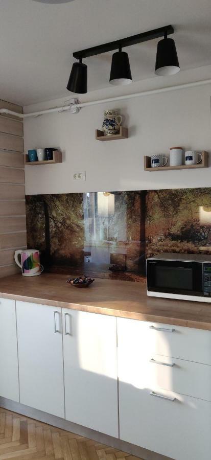 Modern And Cozy Apartment Piteşti Eksteriør billede